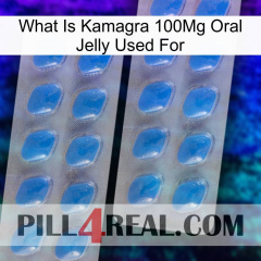 What Is Kamagra 100Mg Oral Jelly Used For 23